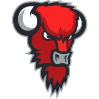 Bisons Loimaa