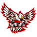 White Eagles