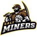 Salt Miners Underground