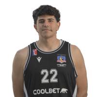 Franco Alippi Silva