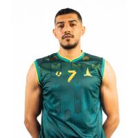 Ali Al Darweesh