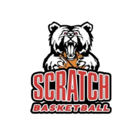 SCRATCH BASKETBALL