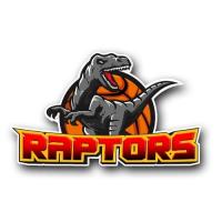 Raptors