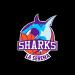 THE SHARKS