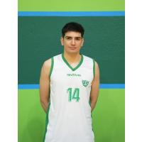 FELIPE SATUT HORNOS