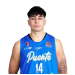 Pino Hernandez, Joaquin