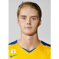 Ludvig Håkanson