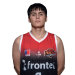 Guinez Gomez, Renato