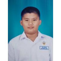 Qin Han Ng