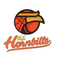 HORNBILLS
