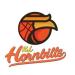 HORNBILLS