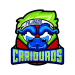 team logo