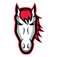 Leicester Riders