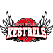 Team Solent Kestrels CIC