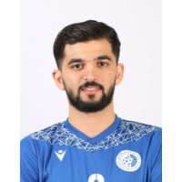 السيد حسن محمد أحمد محمد