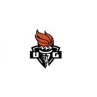 UNIVERSITAS GUNADARMA