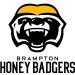 Brampton Honey Badgers