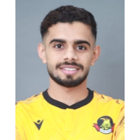 السيد جواد حيدر عباس العلوي