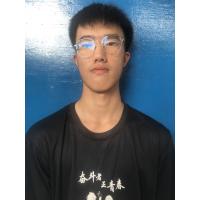 Yu Hong, Vince Tan