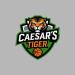 TIGER BASKETBALL