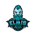 Logo Anykščių KKSC Elmis