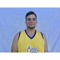 Sebastian E. Fernandez Alarcon