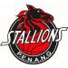 Stallions