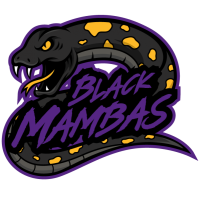 Black Mambas