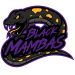 Black Mambas