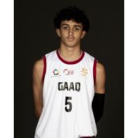 Patrik W N A Guirguis