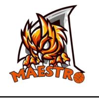 MAESTRO BASKETBALL BLITAR CLUB