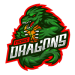 Fierce Dragons