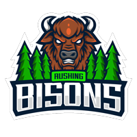 Rushing Bisons