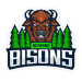 Rushing Bisons