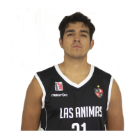 Martin Farfan Meneses