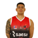 Ansaldo Toloza, Ignacio