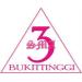 SMA NEGERI 3 BUKITTINGGI