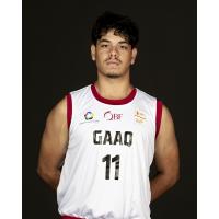 Diego A Manzano Pena