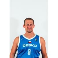 Pavel GRMELA