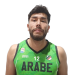 J. Higueras Borquez