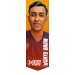 Wahyu Brian HADHA