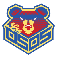 team logo