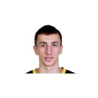 Εντιν Ατιτς