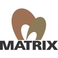 NS Matrix