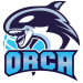 Orca Basketball Team