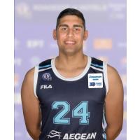 Άγγελος Μιροσάβιτς