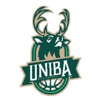 UNIVERSITAS BAHAUDIN MUDHARY