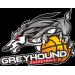 GREYHOUND BASKETBALL MALANG