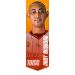 Ardy BASKORO