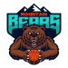 Mountain Bears